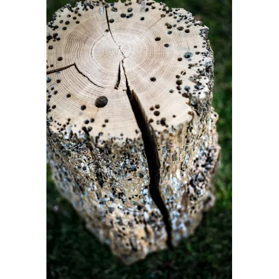 Sgabello Bricola Venezia Stool in legno massello di Briccola di Riva1920