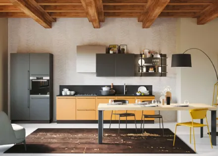 Cucina Moderna lineare Pratica 07 Tag in laccato e melaminico di La Casa Moderna